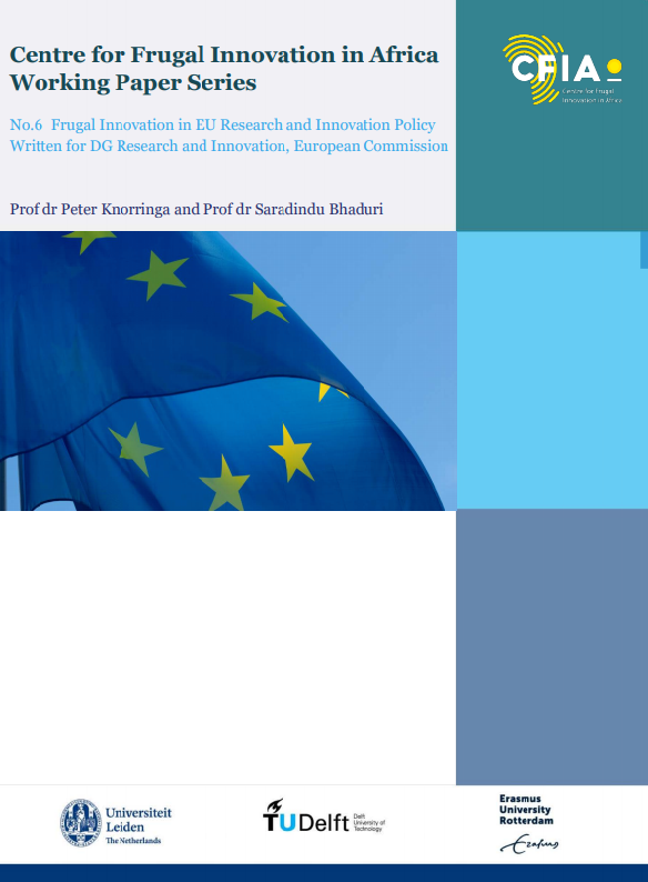 Working Paper 6: Where and how to integrate Frugal Innovation into EU Policy