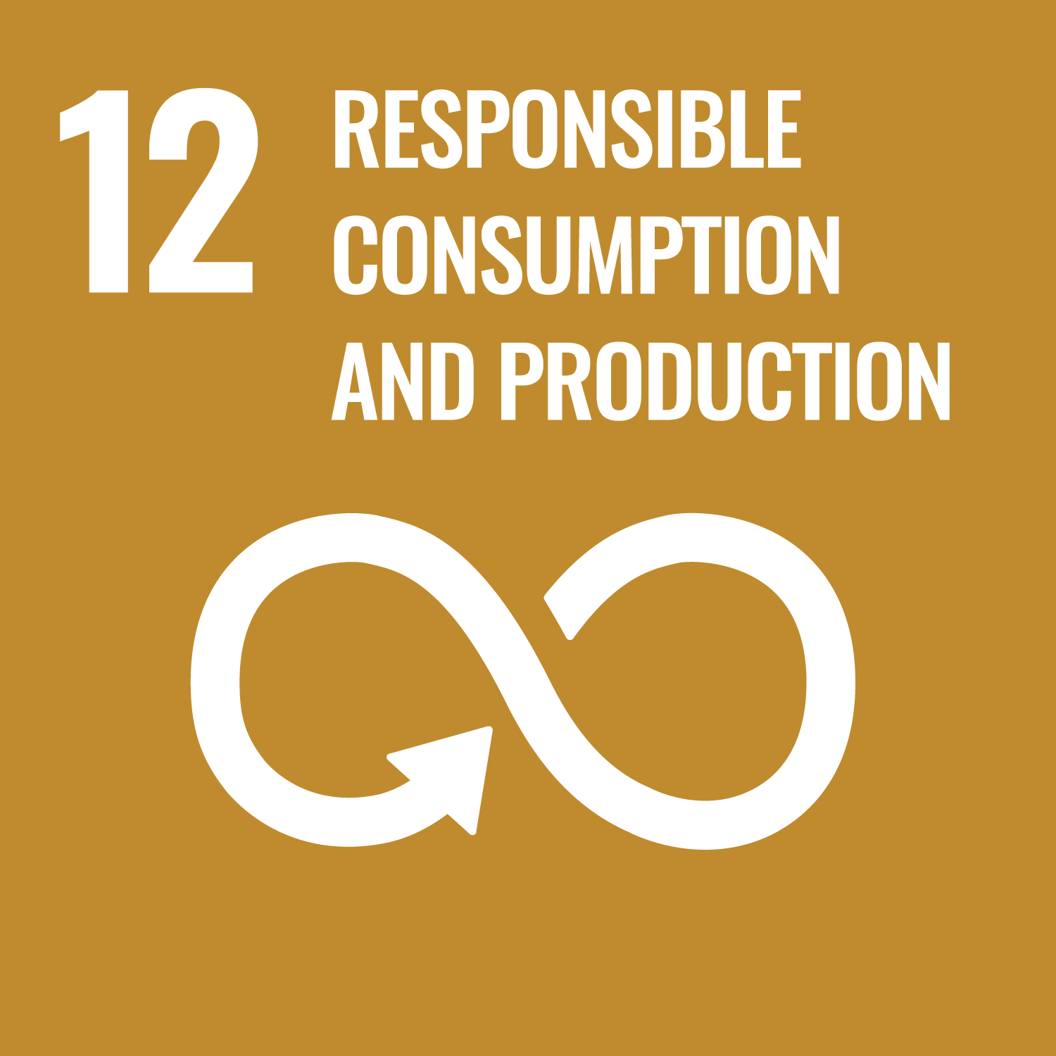 sdg goal 12