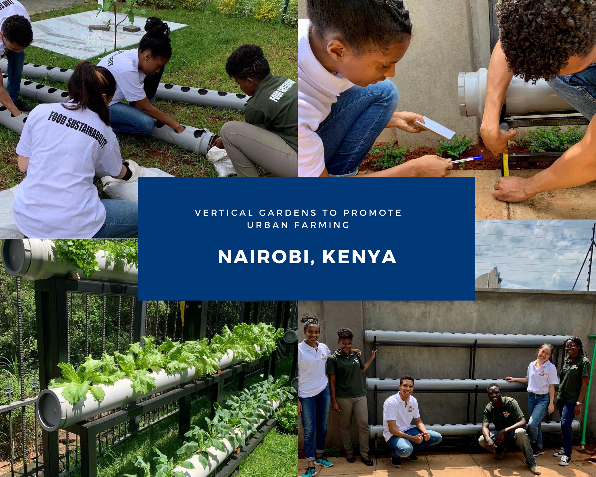 Student experiences Minor Frugal Innovation for Sustainable Global Development - CFIA - Ukulima Tech - Kenya, Nairobi