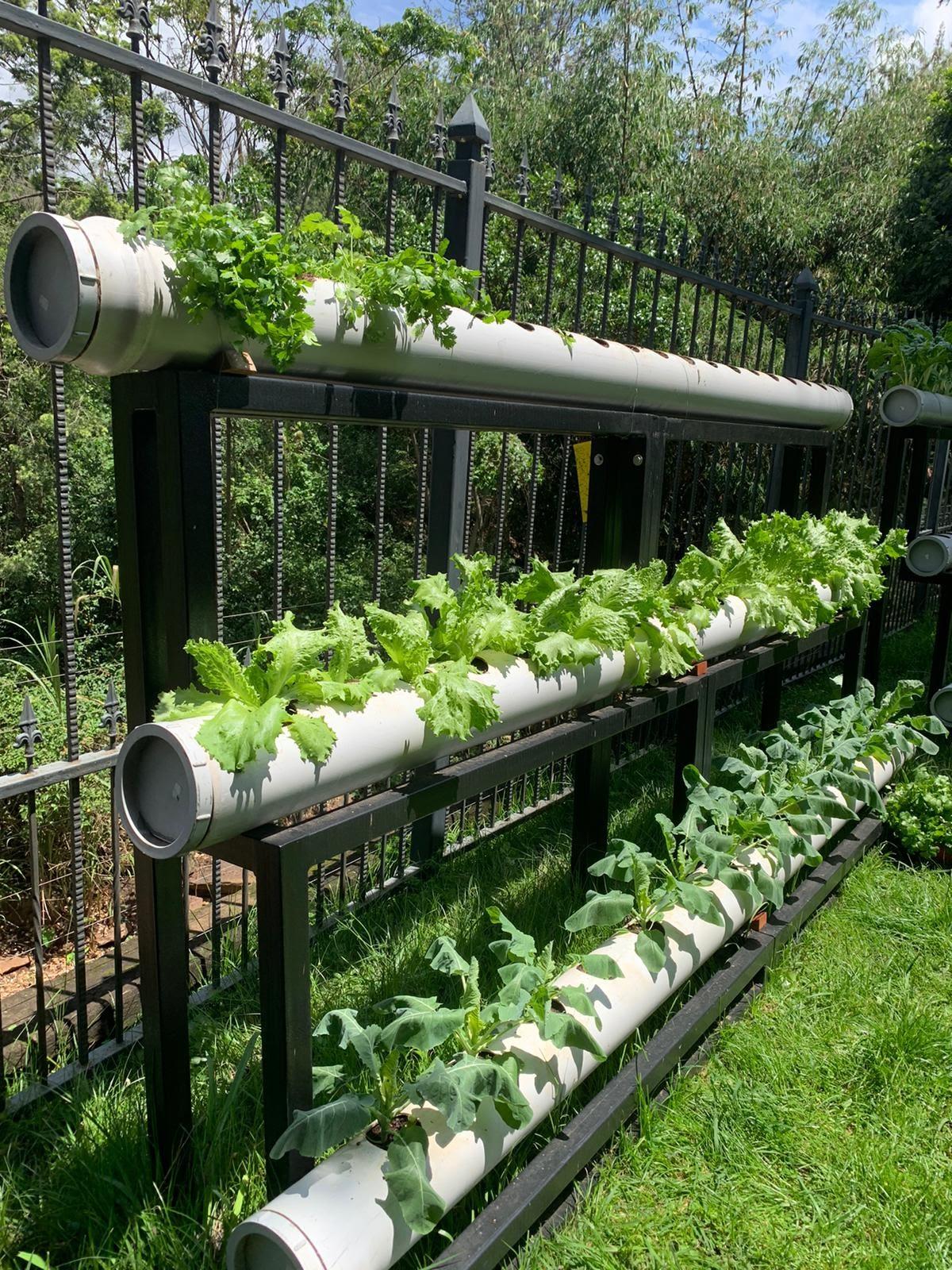 Ukulima Tech Vertical Garden