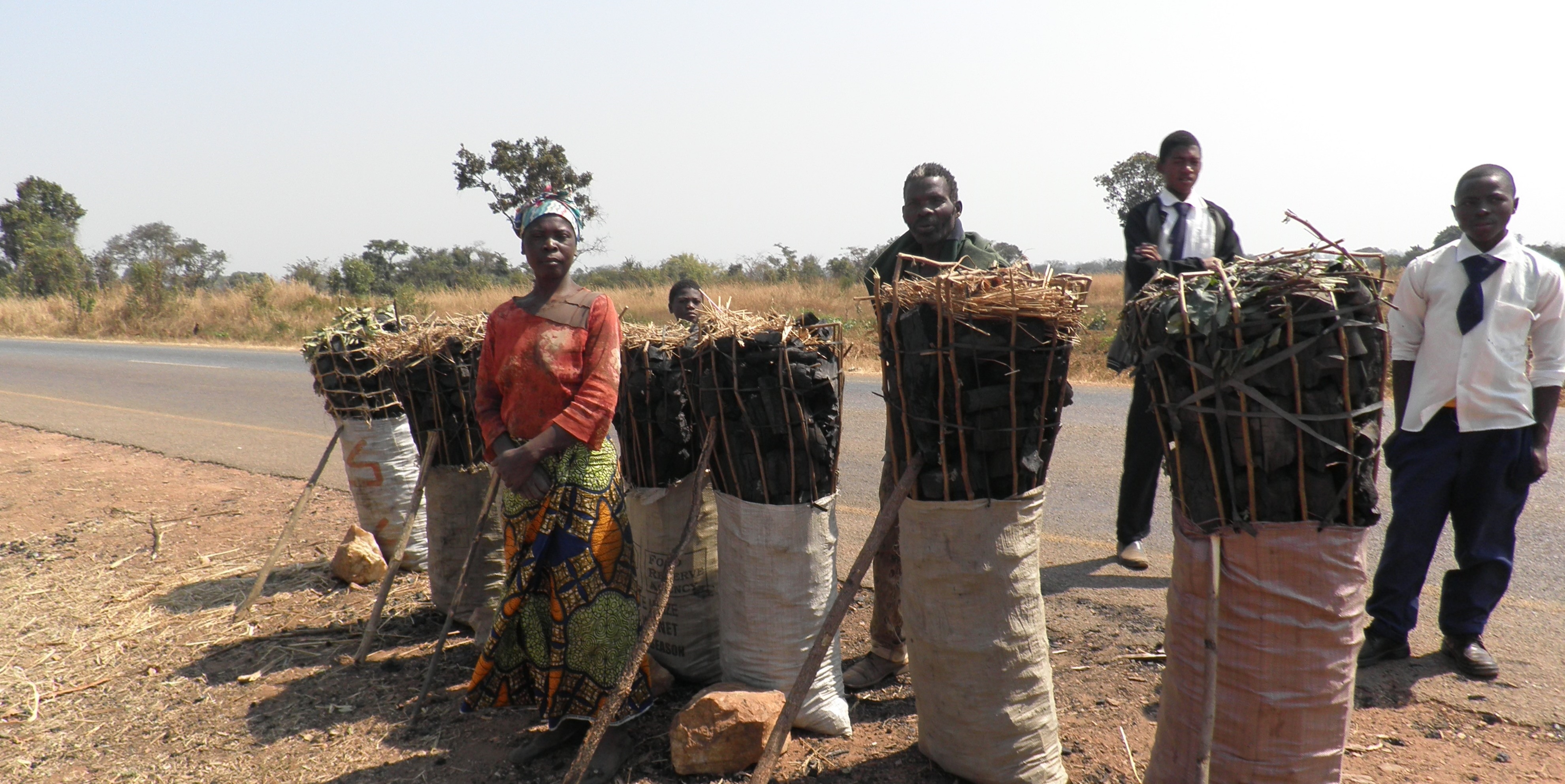 Charcoal vallue chain Zambia