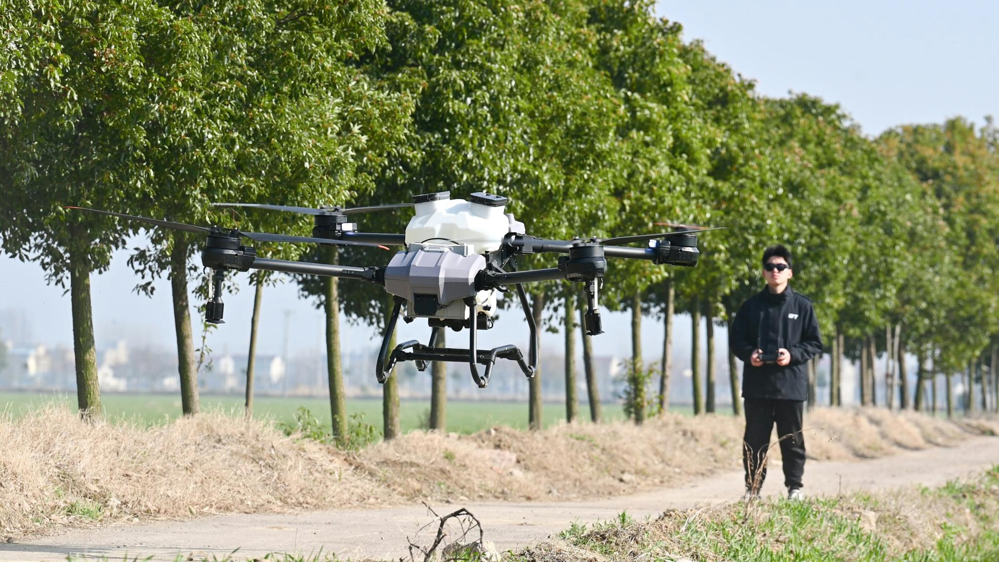 A man operates a remote control as an agricultural drone hovers above a rural roadside lined with trees.