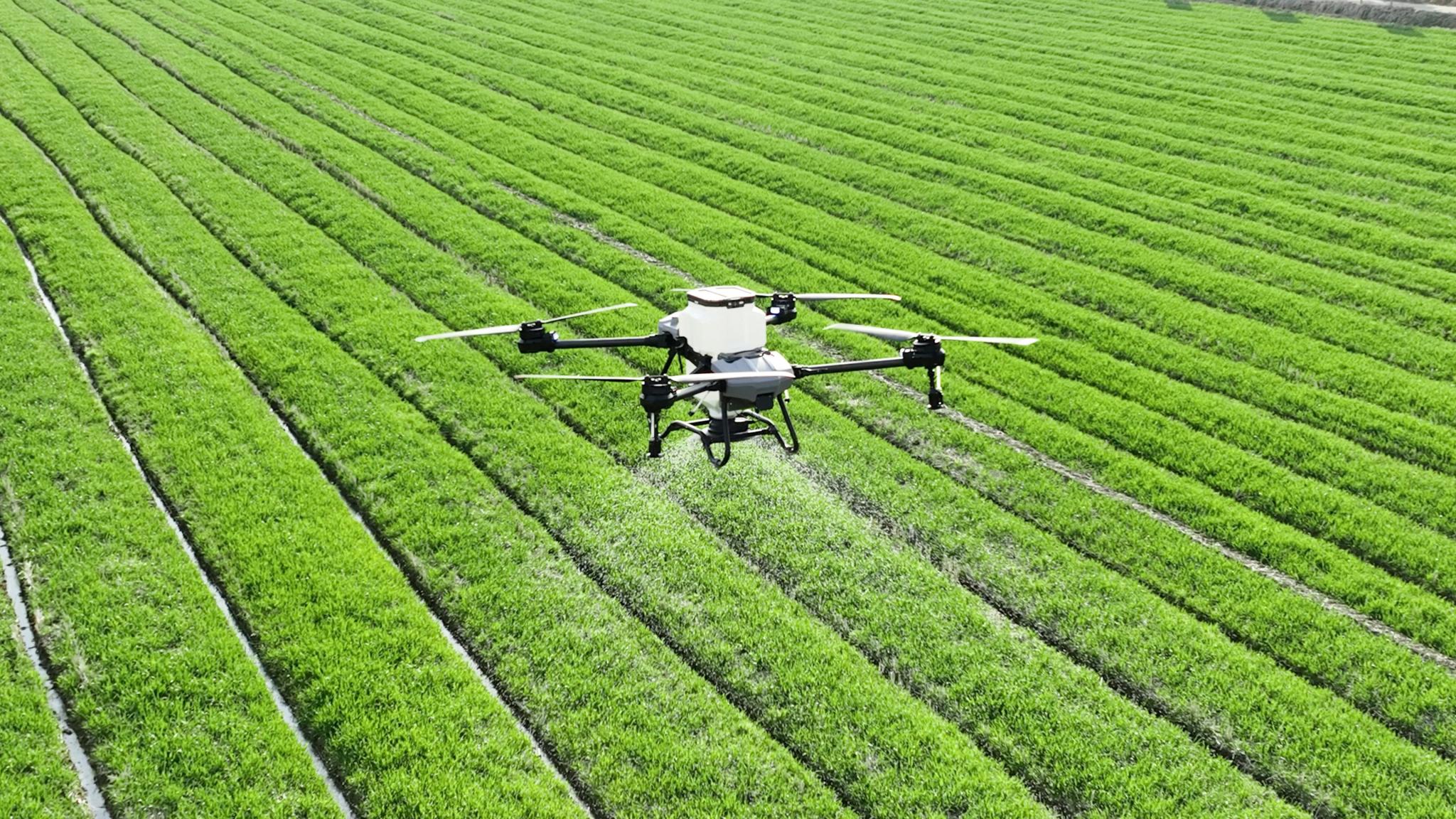 An agricultural spraying drone flying low over rows of green rice paddies in Vietnam.