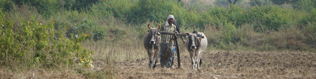 Visual Research - photo PhD fieldwork Birendra