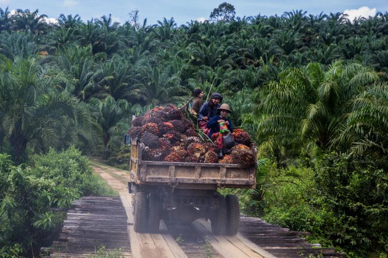 Leapfrogging towards sustainable palm oil