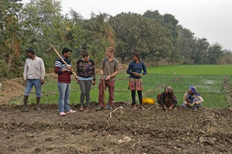 Rainwater harvesting in Central India