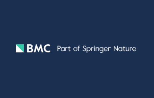 Adaptive-Size Dictionary Learning Using Information Theoretic Criteria for Image Reconstruction from Undersampled k-space Data in Low Field Magnetic Resonance Imaging - Article in BMC Medical Imaging, 2020