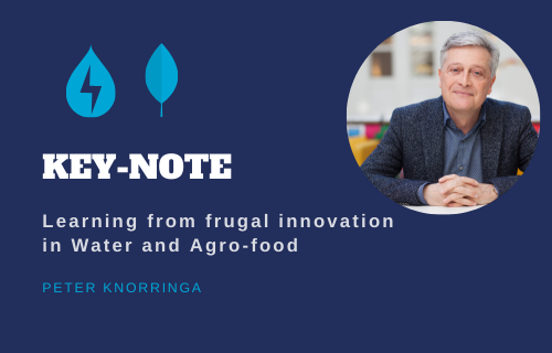 Learning from frugal Innovation in water and agro-food