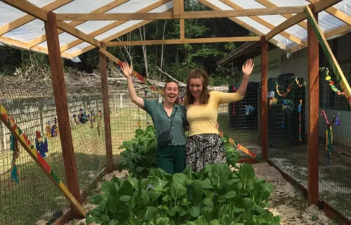 Frugal Hydroponics Suriname