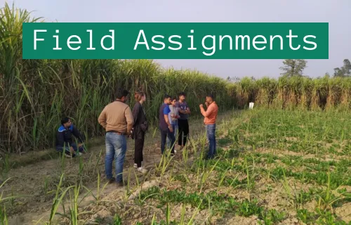 Recovering Water, Energy and Nutrients for Small Scale Farming