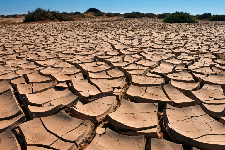 Nature-Based Safe Water Solutions 