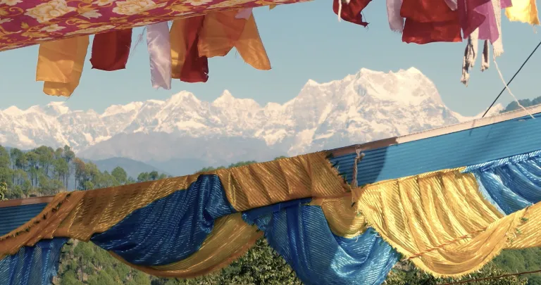 Documentary Living with the Wild