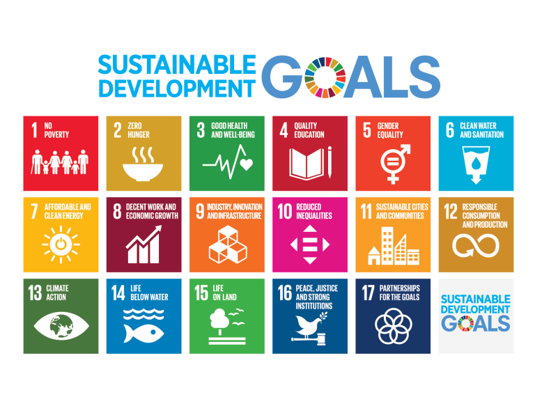UN SDG's