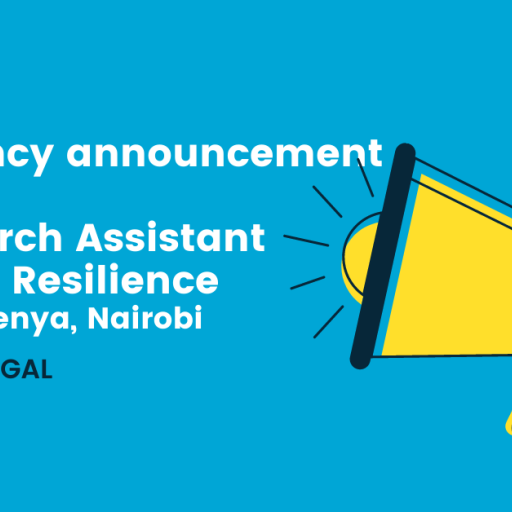 Vacancy Announcement Research Assistant Urban Resilience