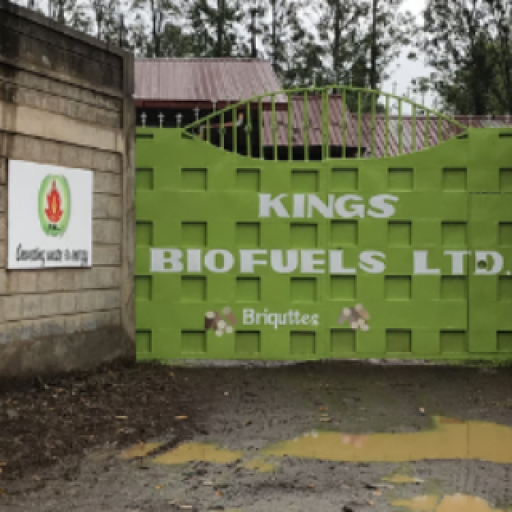 Harnessing Clean Energy from Bio-Waste in Quest of Reducing Kenya’s Carbon Footprint.