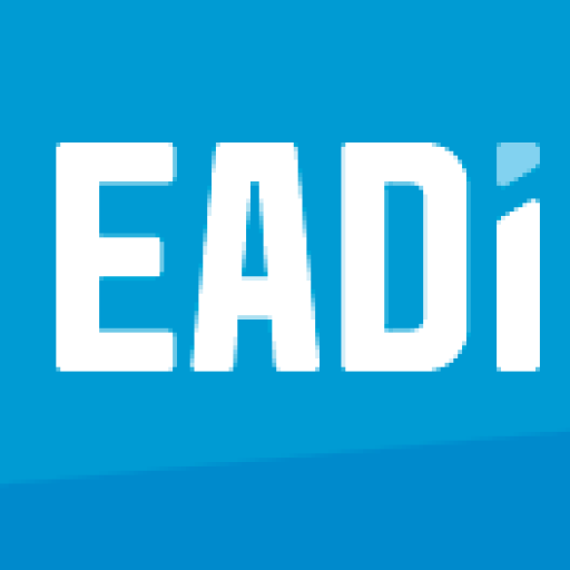 EADI Working Group Webinar Frugal Innovation and Development - Prof. Peter Knorringa
