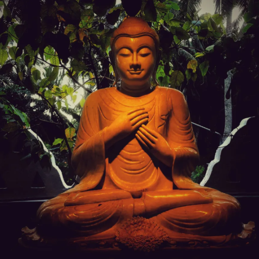 Photo by Lahiru Supunchandra on Unsplash
