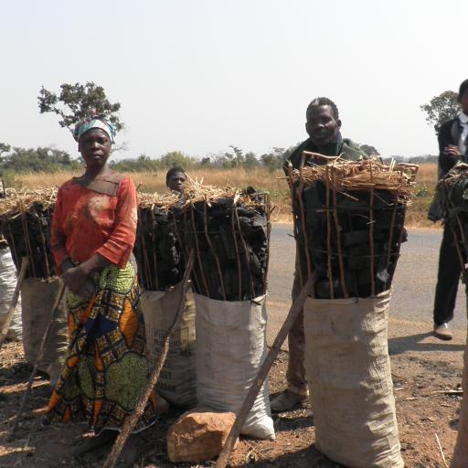 Charcoal value chain Zambia