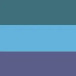 Leiden-Delft-Erasmus