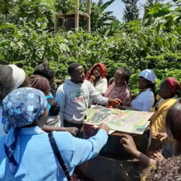 CFIA - Frugal Innovation Histories - Farming Wonder - Agro-Food - GoFrugal Research Insights