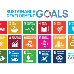 UN SDG's