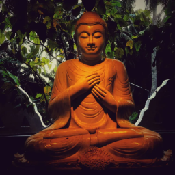 Photo by Lahiru Supunchandra on Unsplash